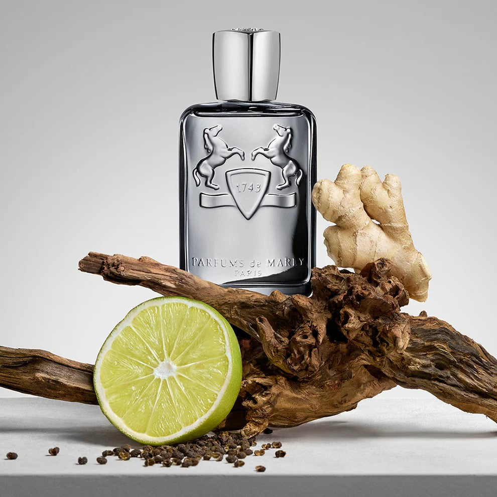 Castley Parfums de Marly for men