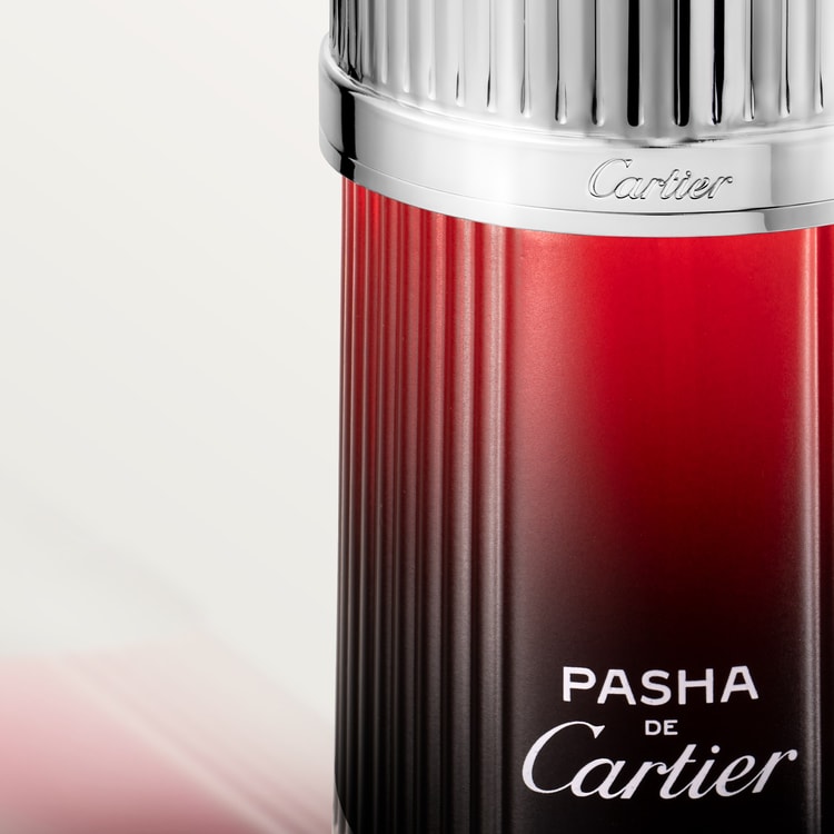 Pasha de Cartier Edition Noire Sport Cartier for men