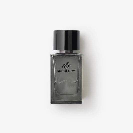 Mr. Burberry Burberry for men