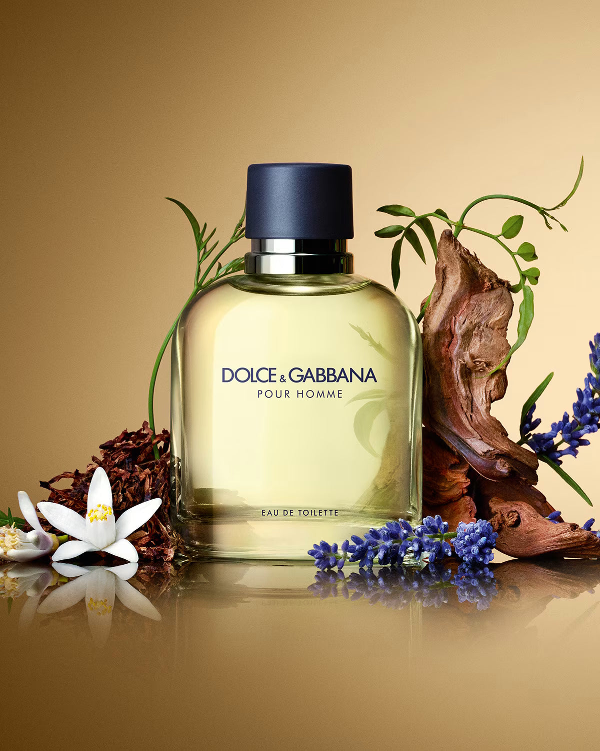 Dolce&Gabbana Pour Homme (2012) Dolce&Gabbana for men