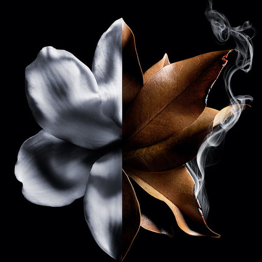 L'Interdit Absolu Givenchy for women