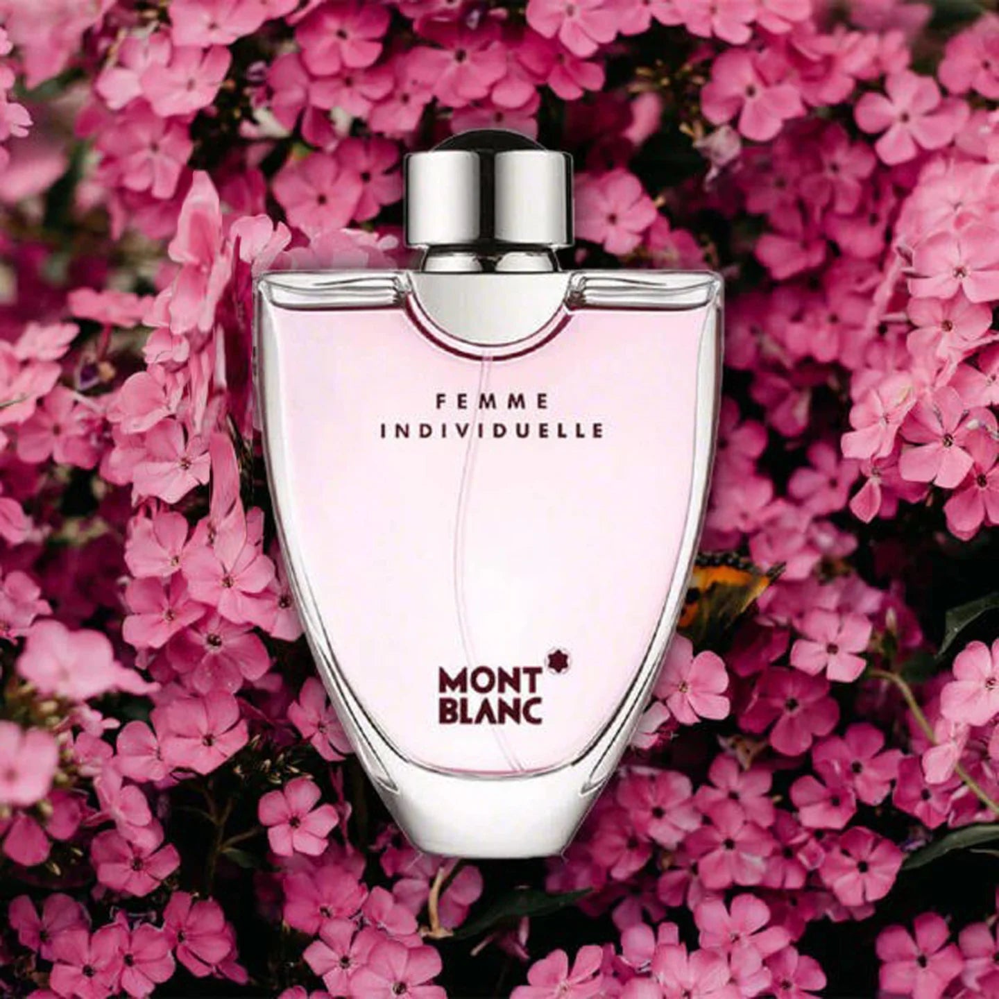 Femme Individuelle Montblanc pour femme
