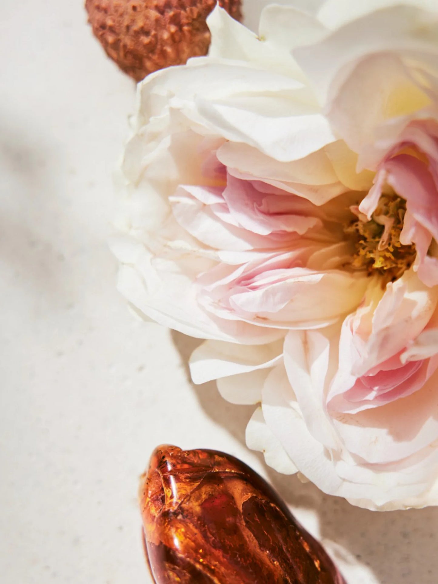 Chloé Eau de Parfum Chloé for women
